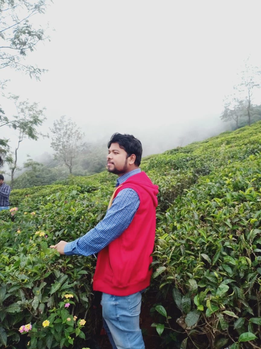 Photo of Government Tea Garden Ooty, Doddabetta Peak, Ooty, Tamil Nadu, India by Debabrata Nayak