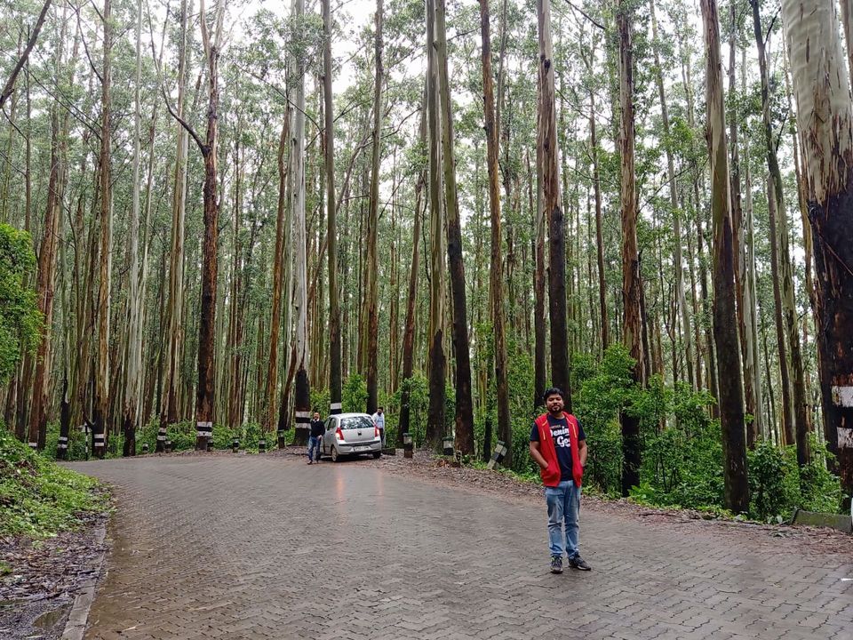 Photo of Pine Forest Shooting Spot, Ooty Main, Tamil Nadu, India by Debabrata Nayak
