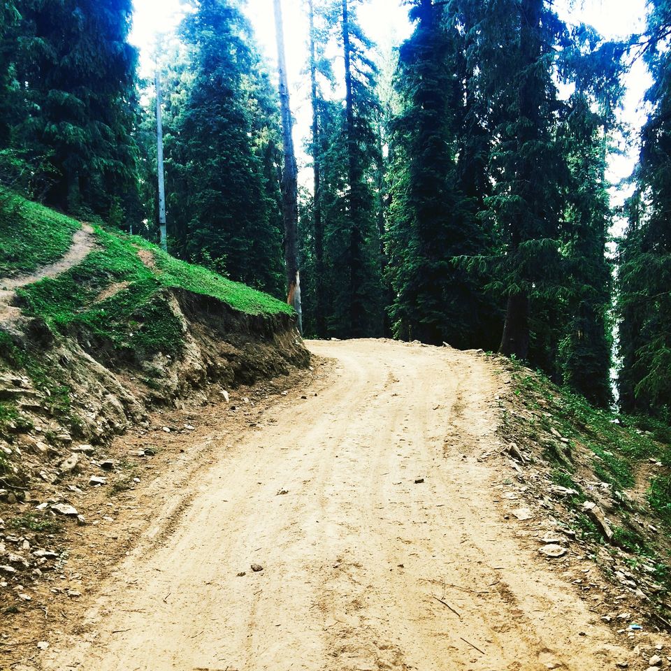 Photo of Driving on the deadly India Tibet Highway 2/47 by Abhishek Khanna