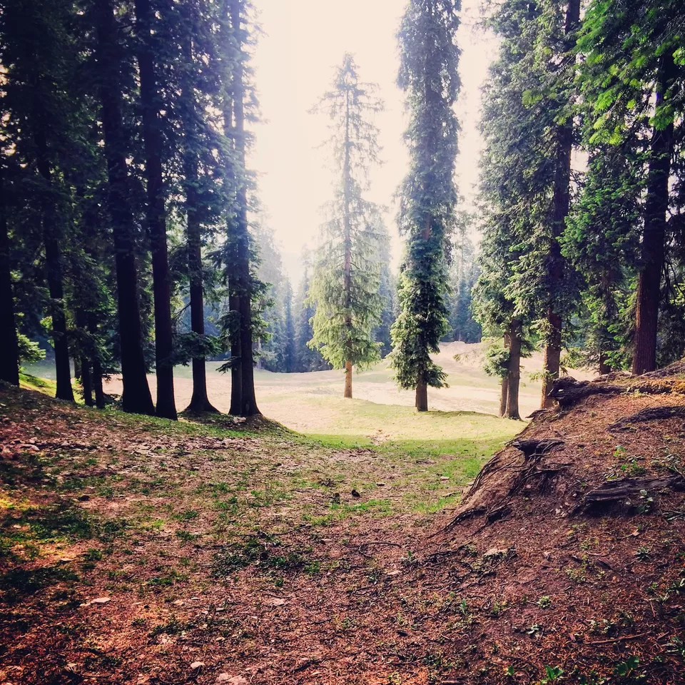 Photo of Narkanda, Himachal Pradesh, India by Abhishek Khanna