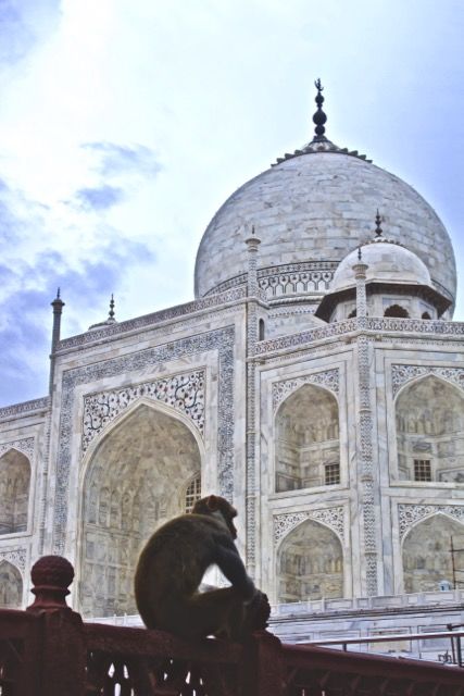 Photo of Taj Mahal, Dharmapuri, Tajganj, Agra, Uttar Pradesh, India by Abhishek Khanna