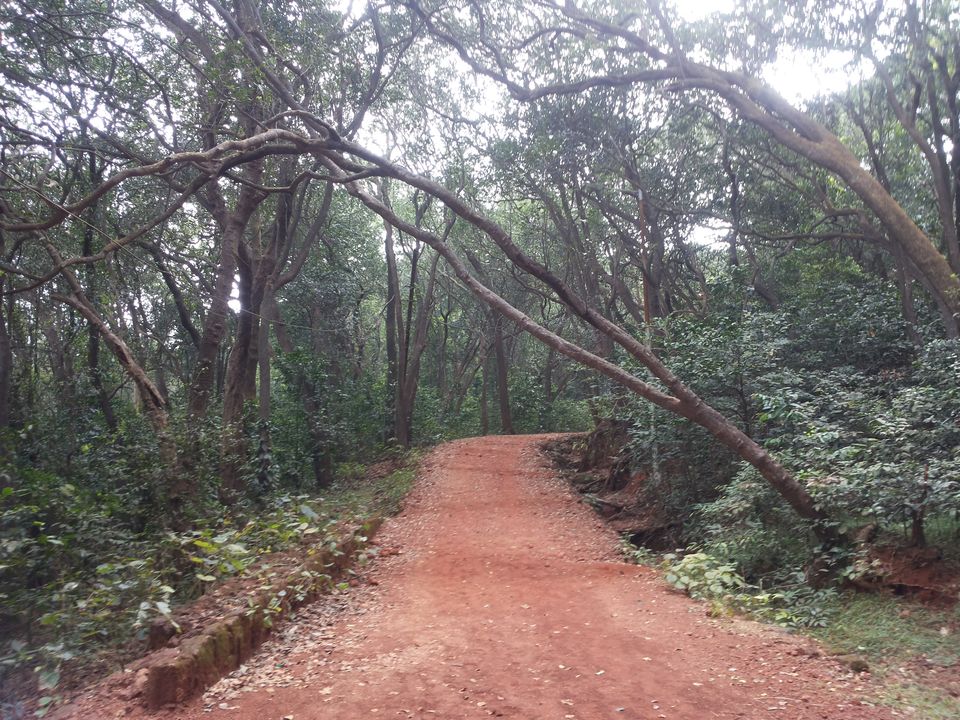 Photo of Backpacking to Matheran 13/16 by Praveen