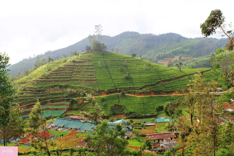 Photo of Nuwara Eliya, Central Province, Sri Lanka by Priti