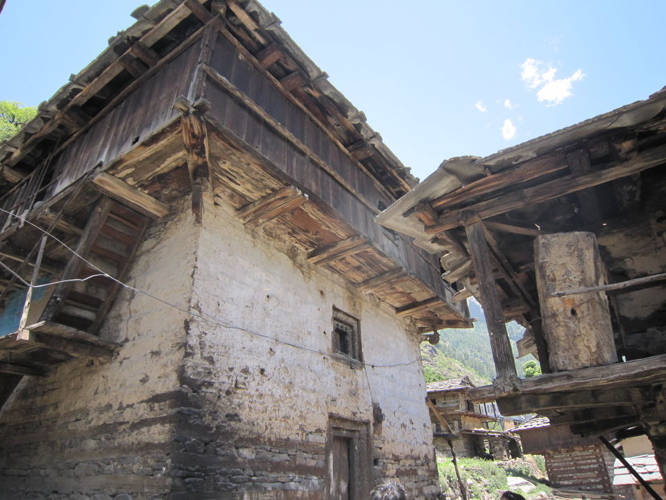 Photo of Nakthan, Himachal Pradesh, India by Tushar Chaudhary