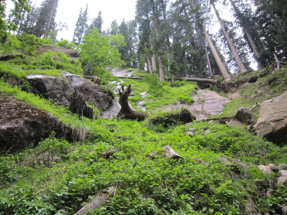 Photo of Kheer Ganga by Tushar Chaudhary