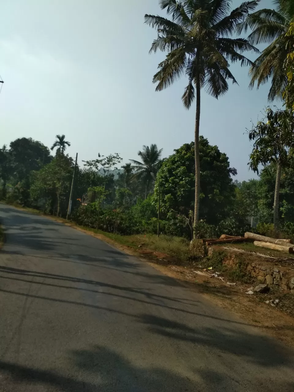 Photo of State Highway 54, Wayanad, India by Mehul singh