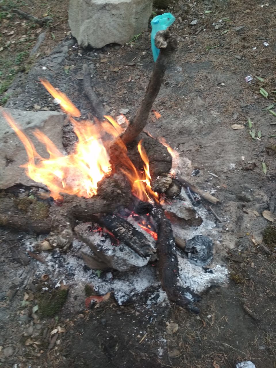 Photo of Solo Trip To Manali and Brighu lake trek 11/19 by Mehul singh