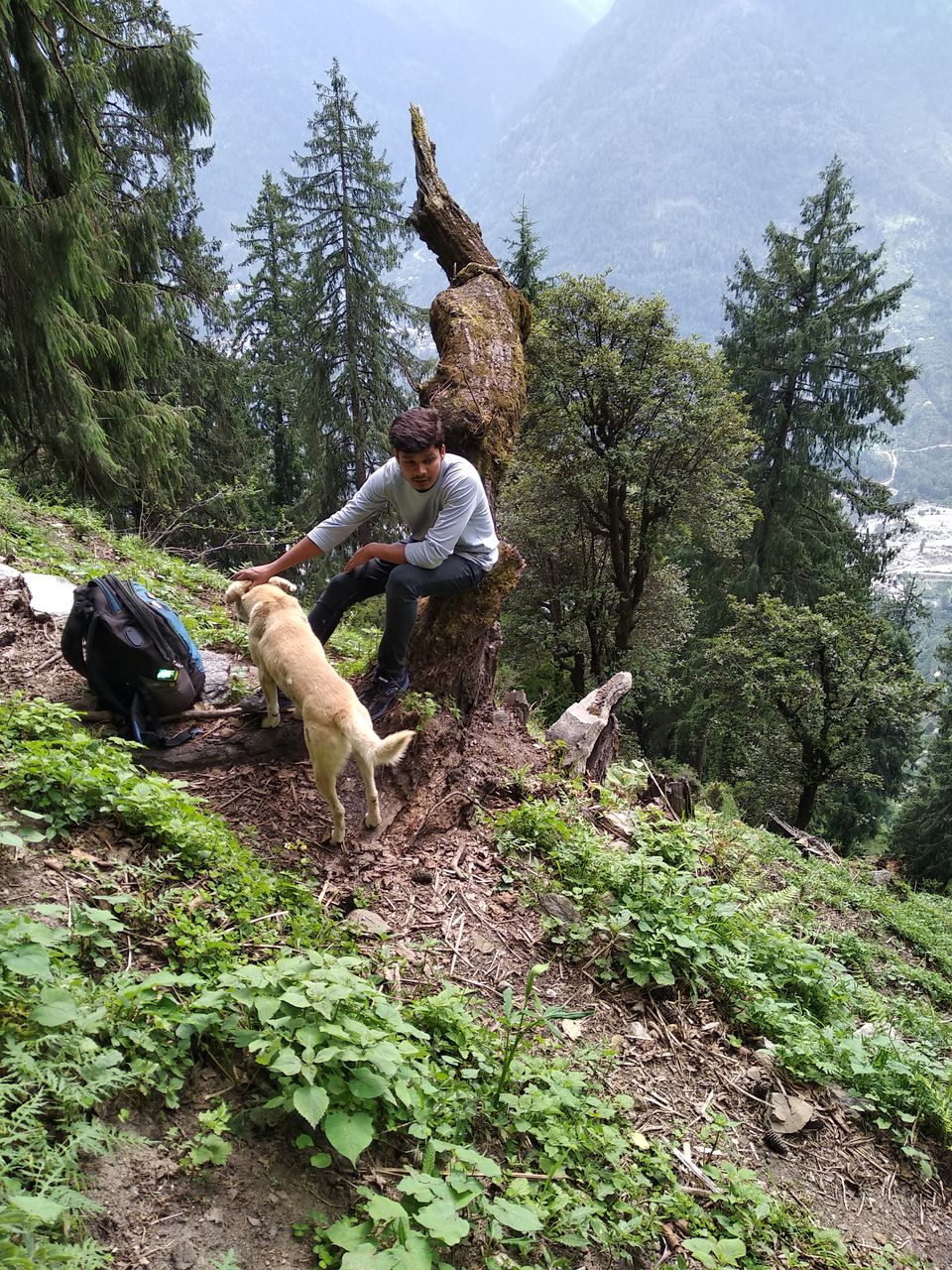 Photo of Solo Trip To Manali and Brighu lake trek 8/19 by Mehul singh