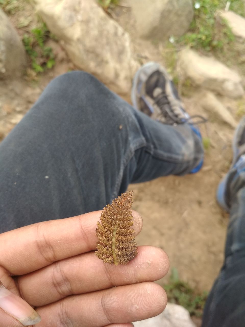 Photo of Solo Trip To Manali and Brighu lake trek 14/19 by Mehul singh