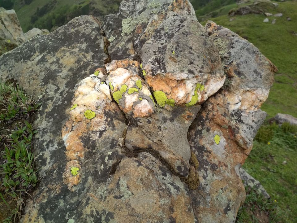 Photo of Solo Trip To Manali and Brighu lake trek 15/19 by Mehul singh