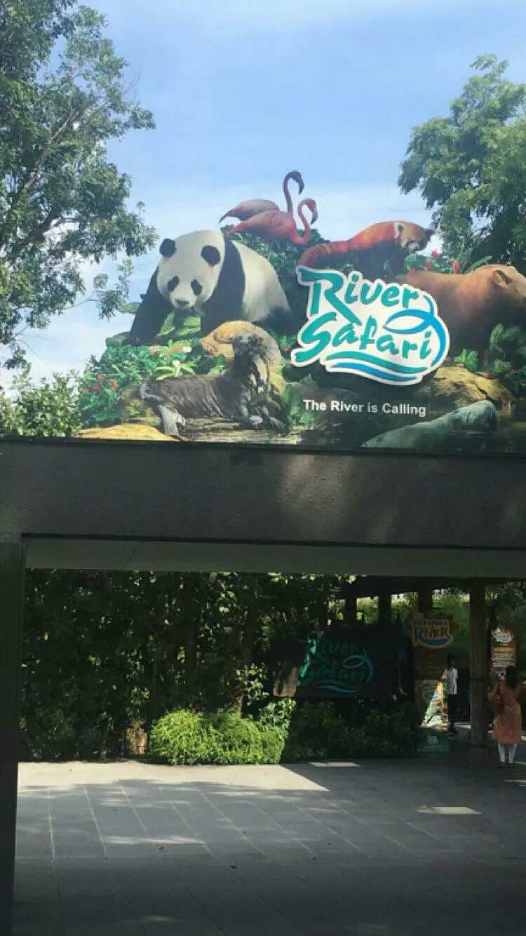 Photo of Singapore Zoo, Singapore by Anoop Jain