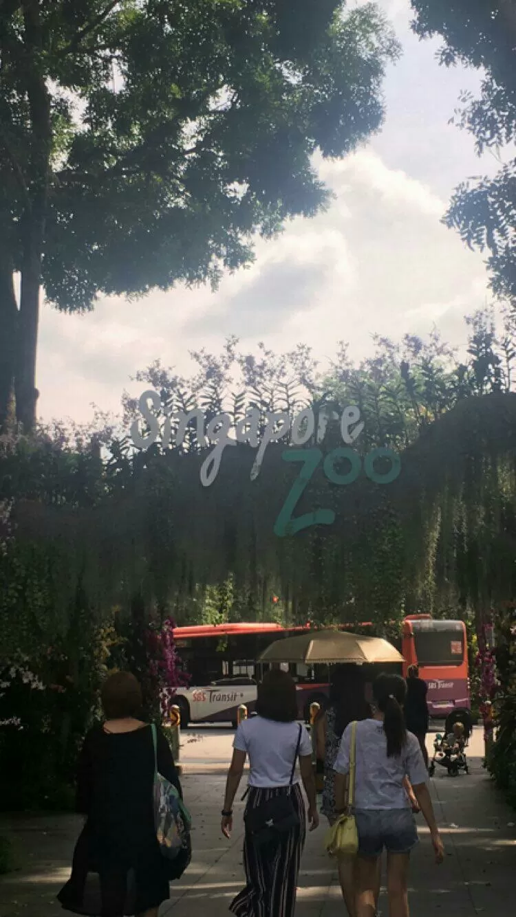 Photo of Singapore Zoo, Singapore by Anoop Jain