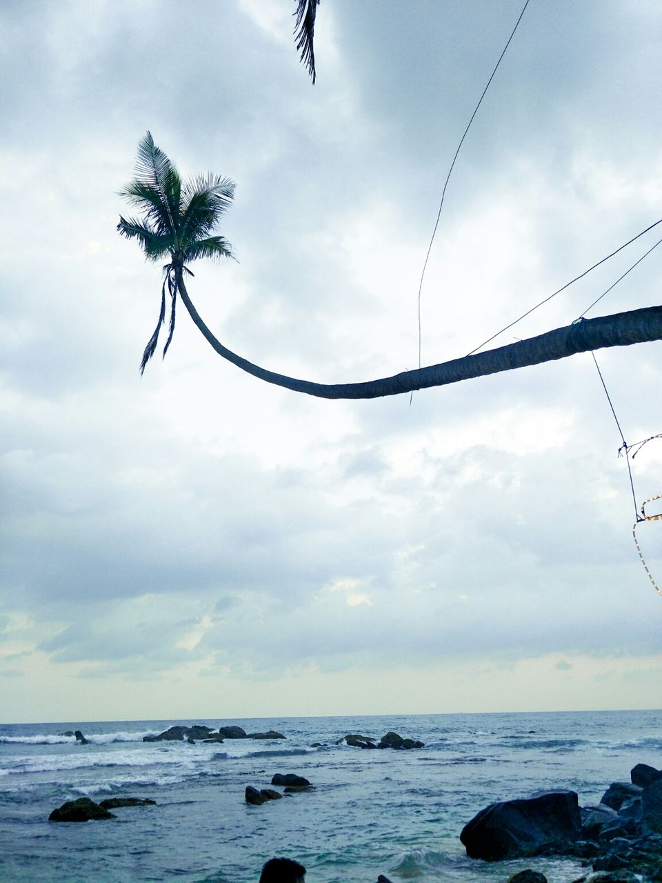 Photo of SriLanka-An island with a beauty of paradise. #BeyondTheBorder by Neha Khan