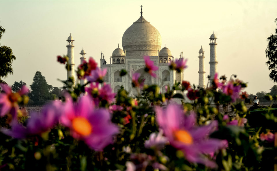 Photo of Lucknow Agra - Taste of Nawabs and Mughals 17/30 by RAhul Debnath