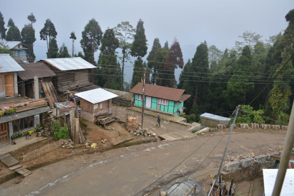 Photo of Lava , Lolegaon and Kalimpong 1/34 by RAhul Debnath