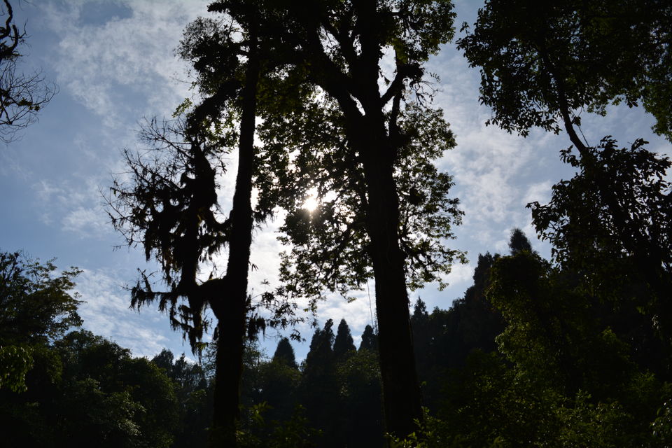 Photo of Lava , Lolegaon and Kalimpong 18/34 by RAhul Debnath