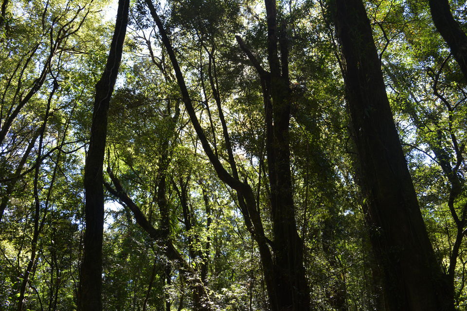 Photo of Shillong: Scotland of East by RAhul Debnath