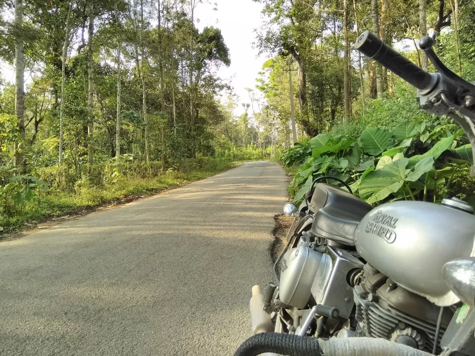 Photo of Bandaje, Karnataka, India by Vivek Mehta