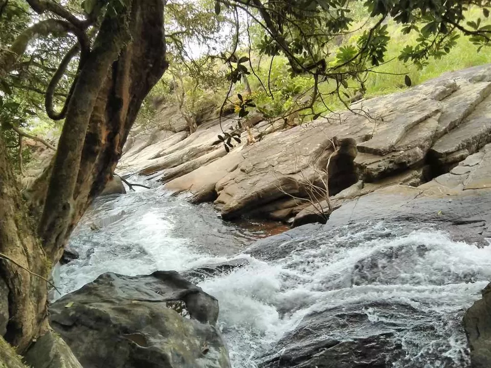 Photo of Bandaje Falls, Kishore, Kadivithwara Village, Belthangady, Karnataka, India by Vivek Mehta