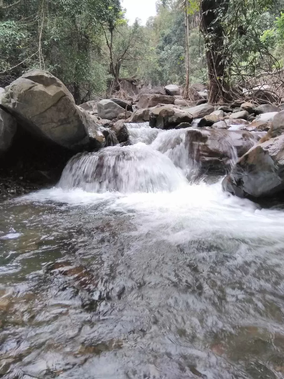 Photo of Bandaje Falls, Kishore, Kadivithwara Village, Belthangady, Karnataka, India by Vivek Mehta