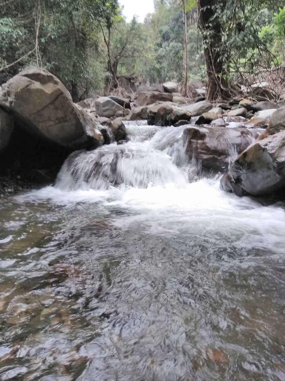 Photo of Bandaje Falls, Kishore, Kadivithwara Village, Belthangady, Karnataka, India by Vivek Mehta