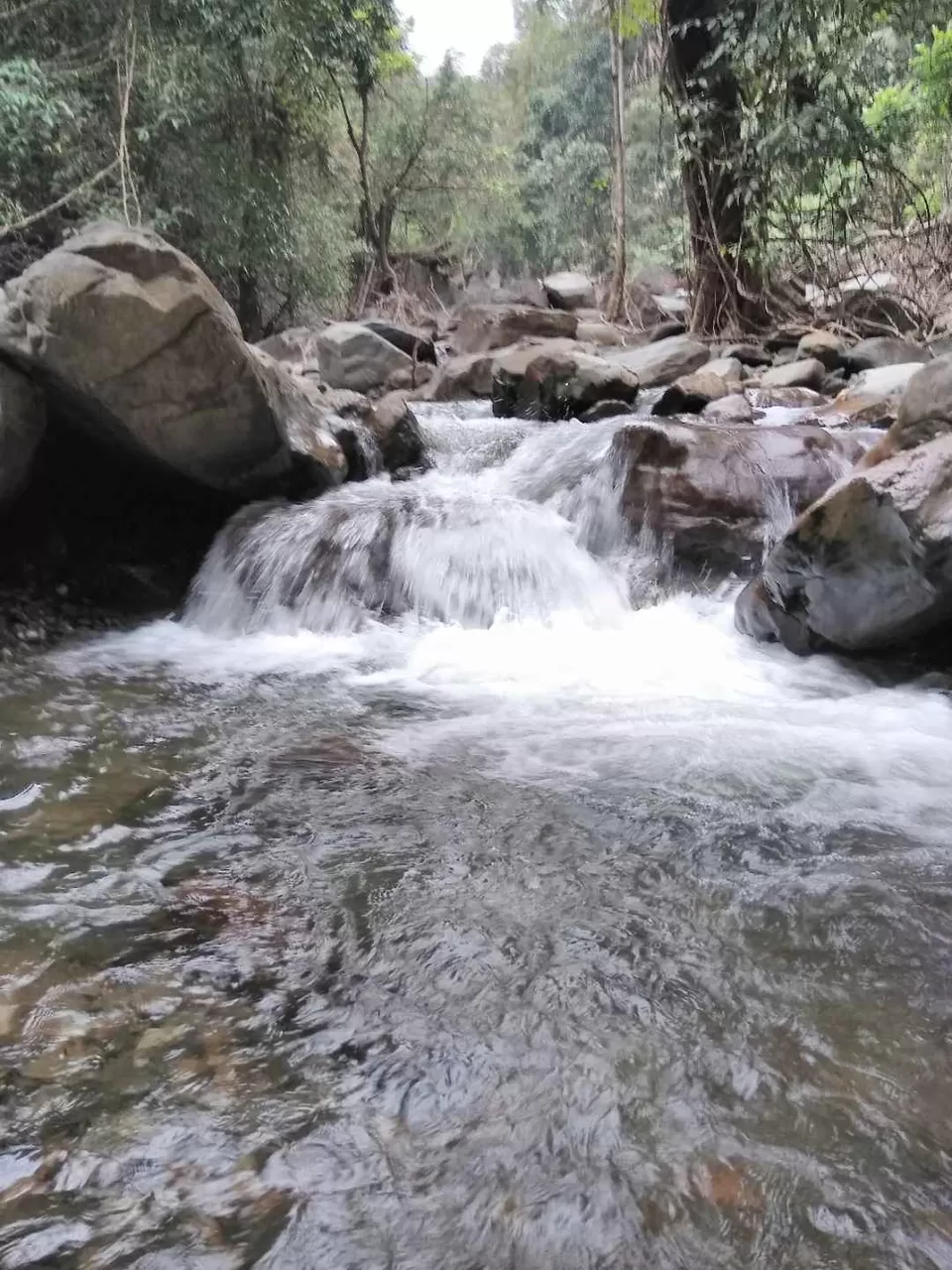 Photo of Bandaje Falls, Kishore, Kadivithwara Village, Belthangady, Karnataka, India by Vivek Mehta