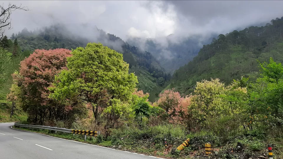 Photo of Exploring bit of Kumaon amidst Monsoon by Vivek Mehta