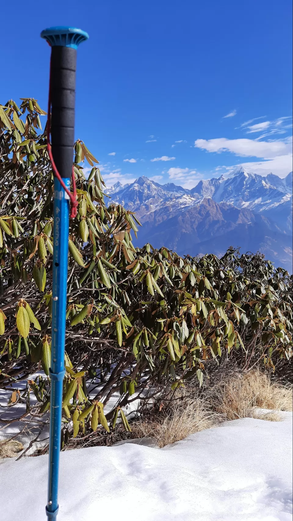 Photo of Khaliya Top Munsyari Camping by Vivek Mehta