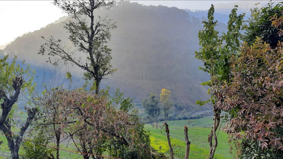 Photo of Taste of Garhwal - Part 2 by Vivek Mehta