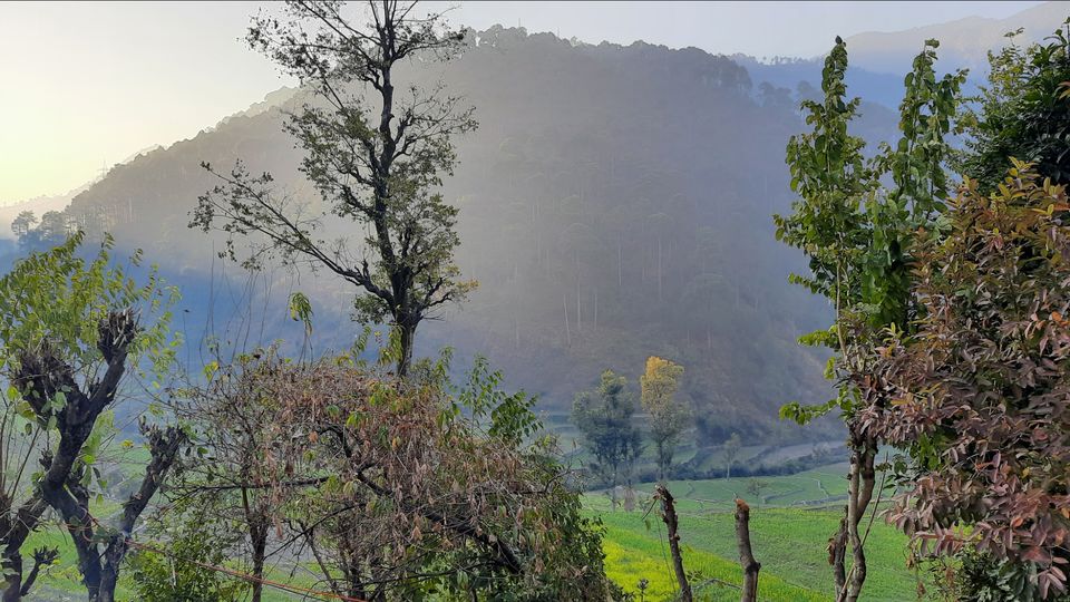 Photo of Taste of Garhwal - Part 2 by Vivek Mehta
