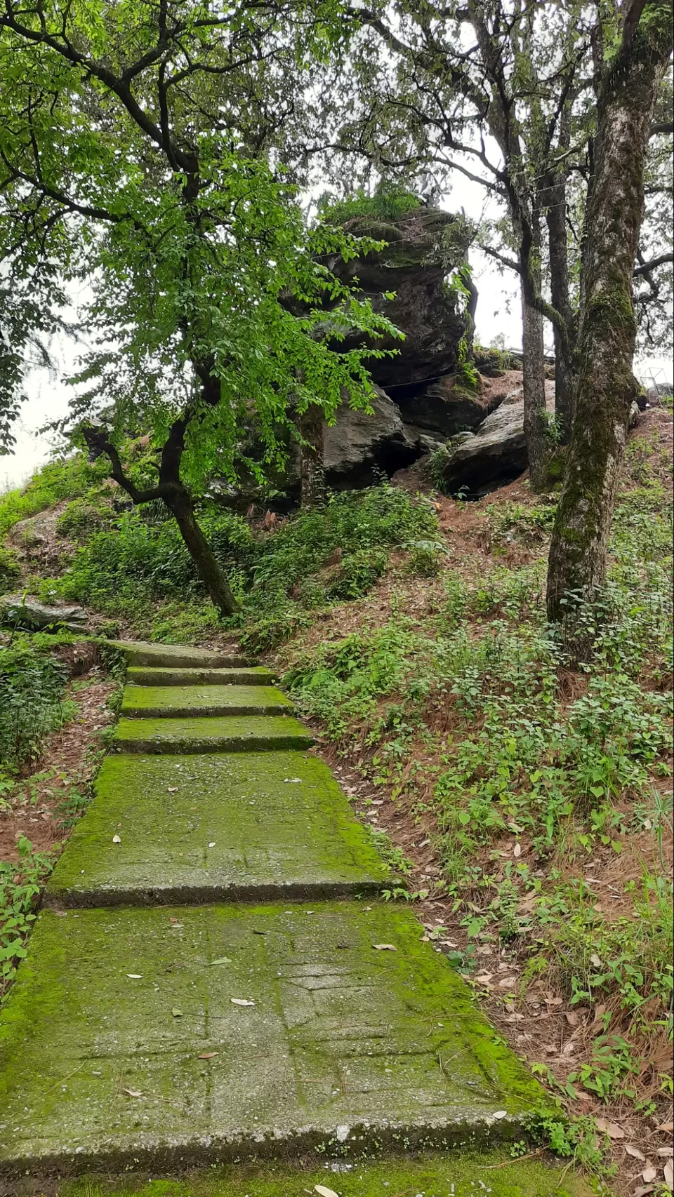 Photo of Almora Range by Vivek Mehta