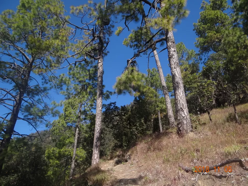 Photo of Tourism in Mountains || What needs our attention || Travel far travel responsibly by Vivek Mehta