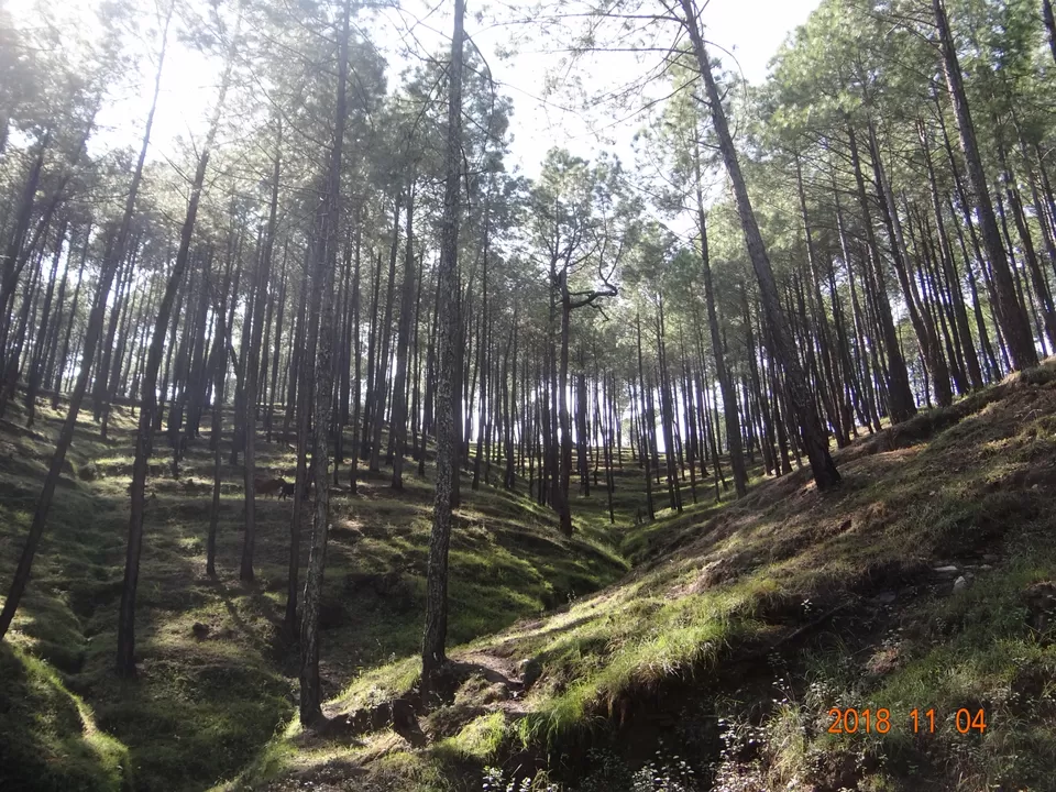 Photo of Tourism in Mountains || What needs our attention || Travel far travel responsibly by Vivek Mehta