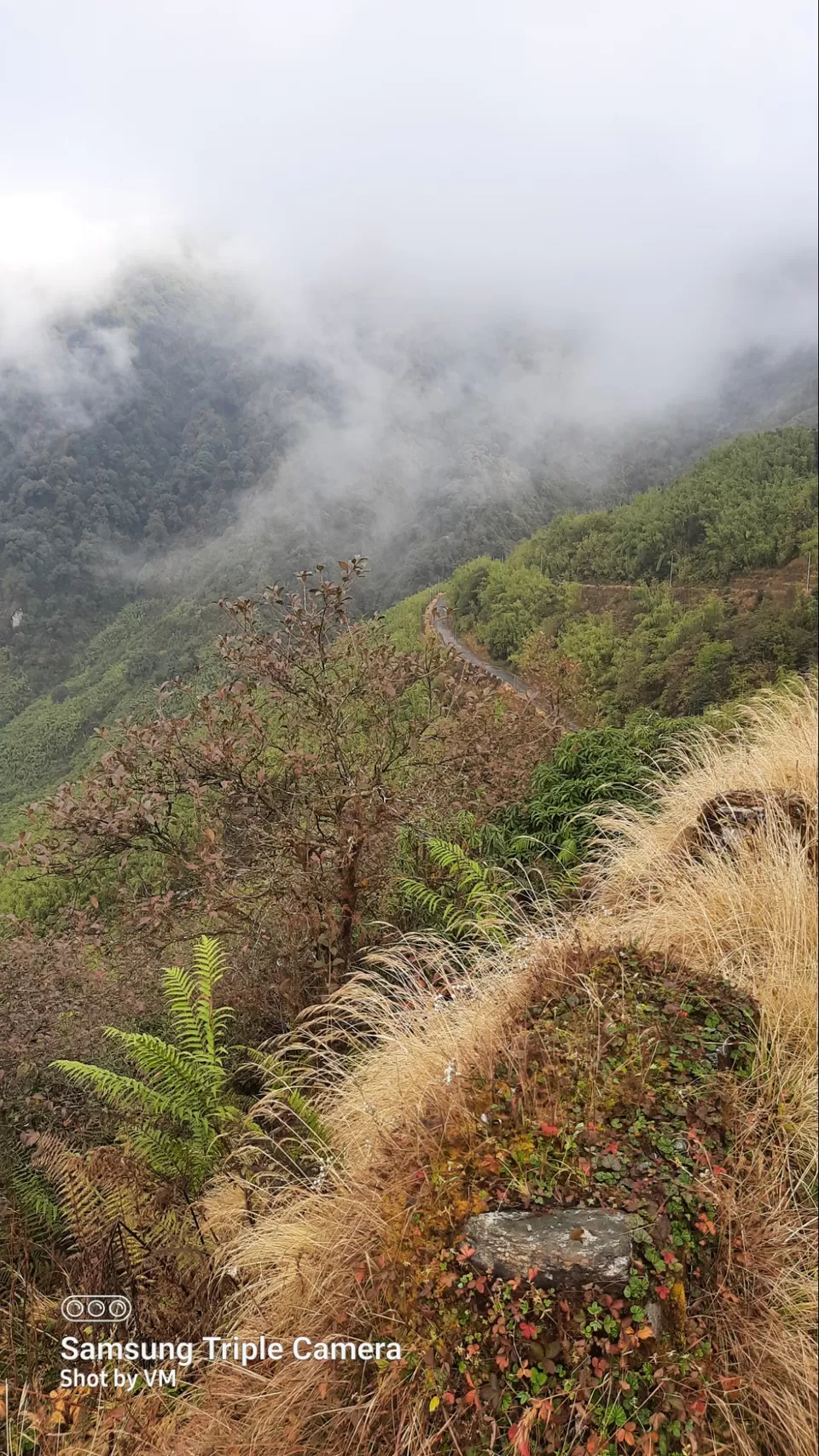 Photo of ITCH of WANDERLUST @ EAST SIKKIM by Vivek Mehta
