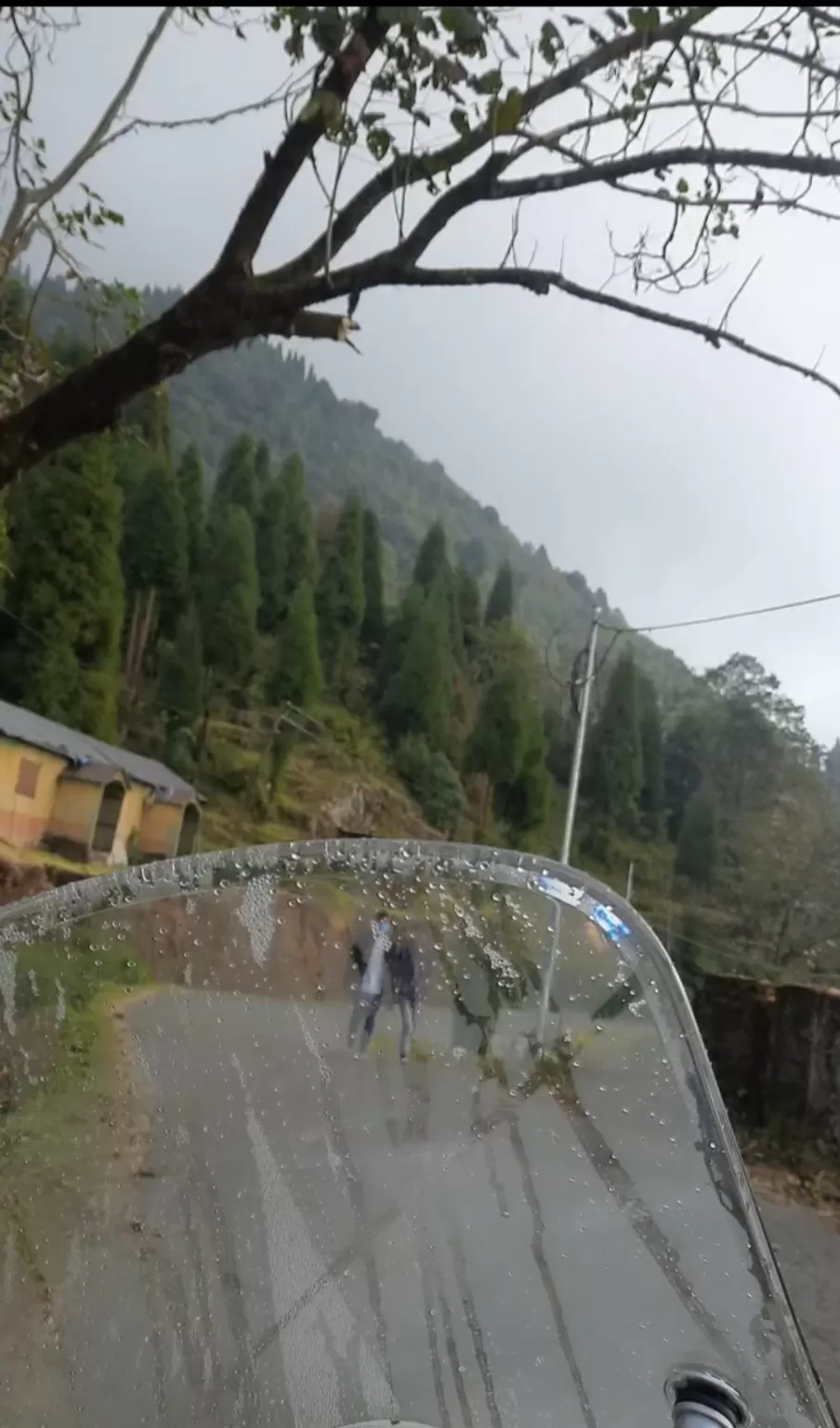 Photo of ITCH of WANDERLUST @ EAST SIKKIM by Vivek Mehta
