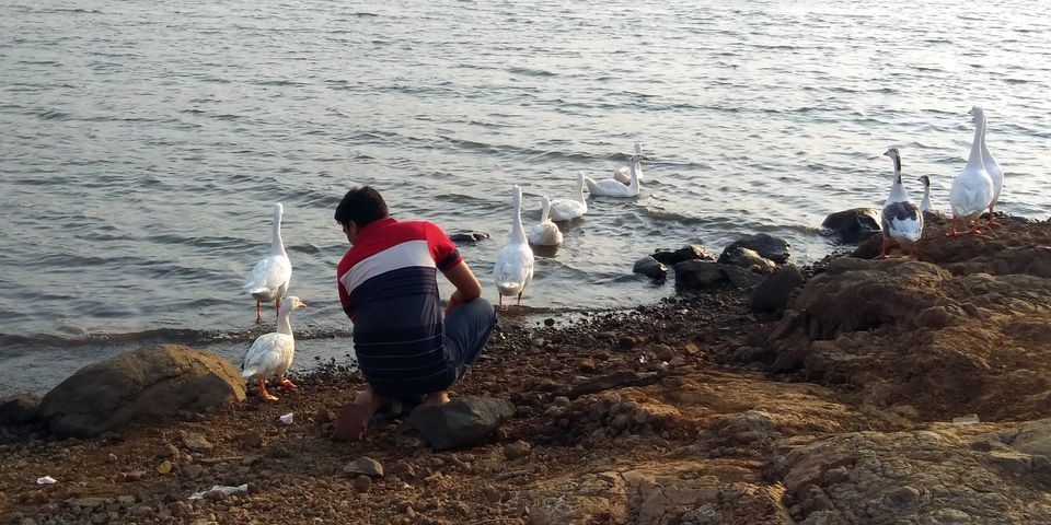 Photo of Pawna Lake - An Exotic Getaway for Lakeside Camping by Shubham Saxena