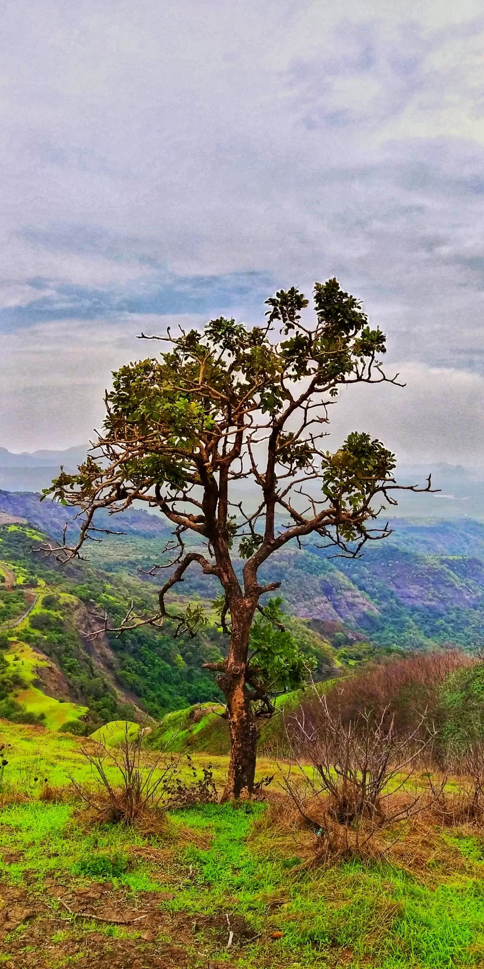 Photo of Duke's Nose - Camping & Trekking, Chavani, Maharashtra, India by Shubham Saxena