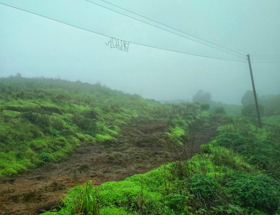 Photo of Have a Break and Hike to Pride of Sahyadri Mountains! #westernghatsinphotos by Akansha&Shubham