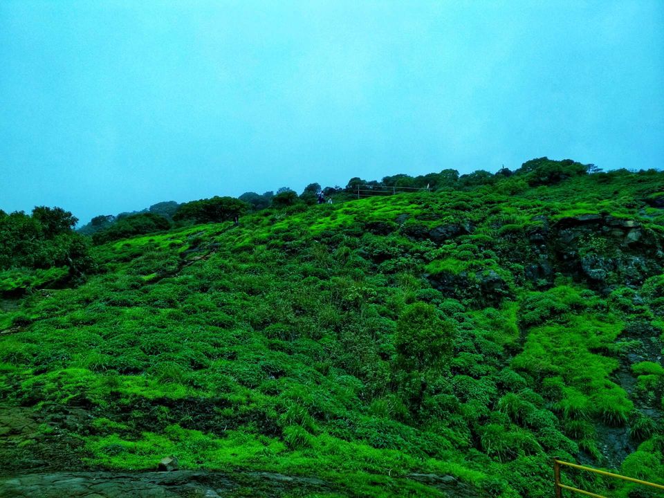 Photo of Have a Break and Hike to Pride of Sahyadri Mountains! #westernghatsinphotos by Akansha&Shubham