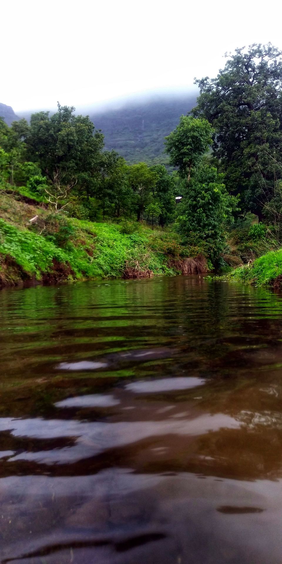 Photo of Have a Break and Hike to Pride of Sahyadri Mountains! #westernghatsinphotos by Akansha&Shubham
