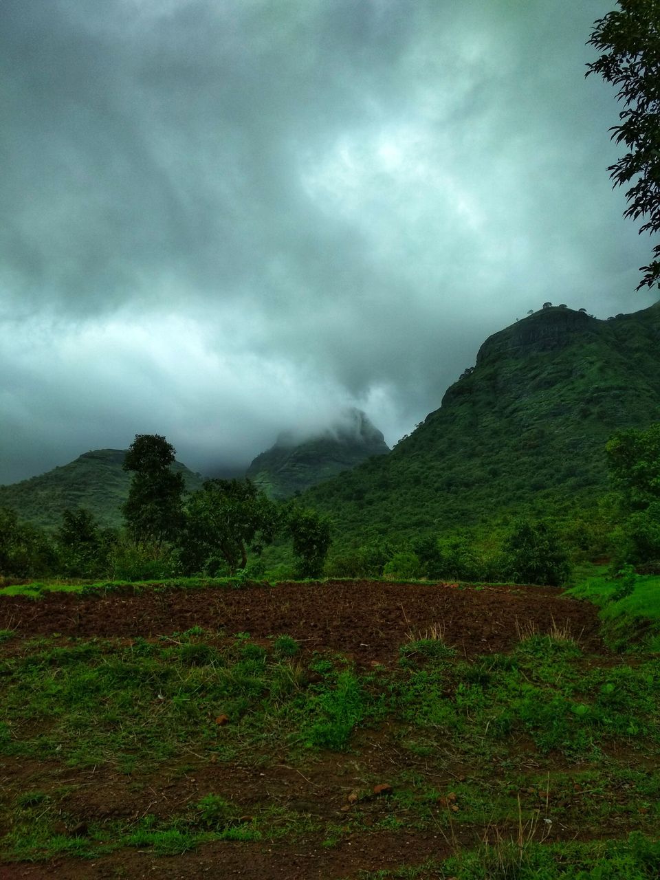Photo of Have a Break and Hike to Pride of Sahyadri Mountains! #westernghatsinphotos by Akansha&Shubham