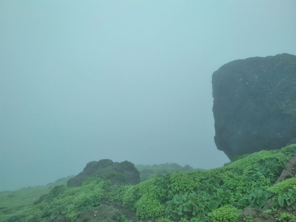 Photo of Have a Break and Hike to Pride of Sahyadri Mountains! #westernghatsinphotos by Akansha&Shubham