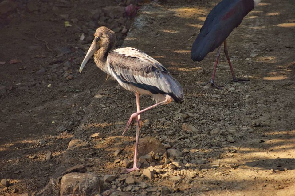 Photo of The Ultimate Itinerary for your next Long Weekend Trip in Gujarat by Shubham Saxena