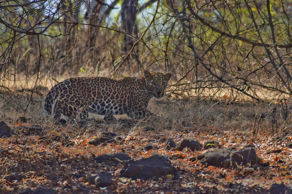 Photo of The Ultimate Itinerary for your next Long Weekend Trip in Gujarat by Shubham Saxena
