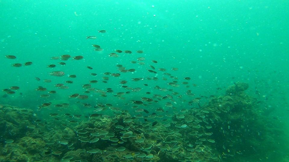 Photo of Walking under sea of a Coral Island #IslandLife by Akansha&Shubham