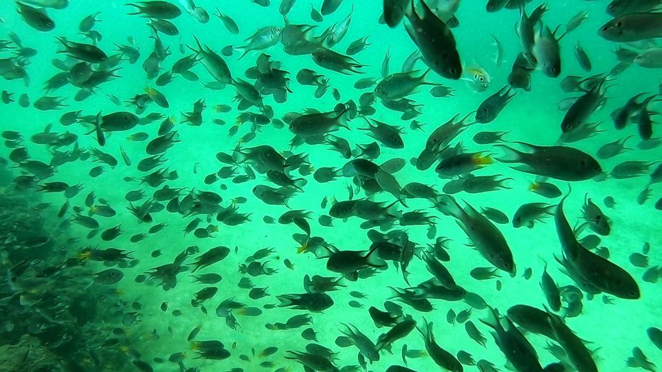 Photo of Walking under sea of a Coral Island #IslandLife by Akansha&Shubham