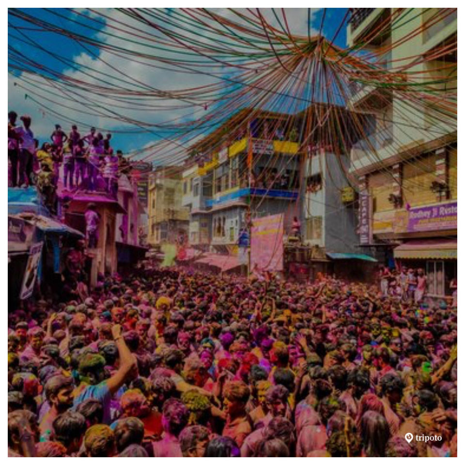 pushkar holi mela