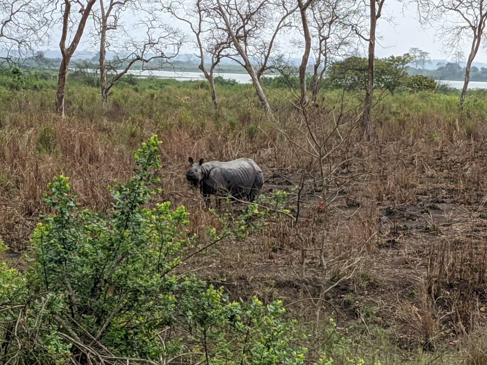 Photo of Kaziranga National Park, Kanchanjuri, Assam, India by Anuj Khandelwal