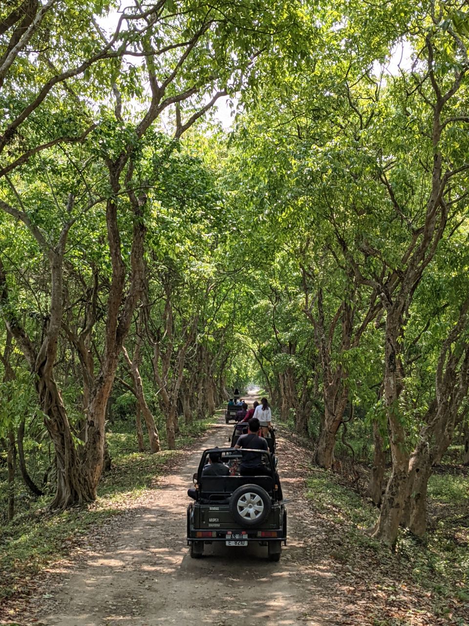 Photo of Kaziranga National Park, Kanchanjuri, Assam, India by Anuj Khandelwal