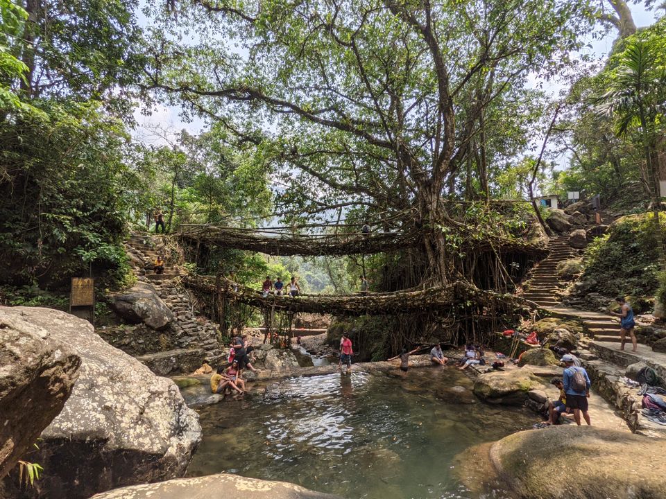 Photo of Root Bridge, Meghalaya, India by Anuj Khandelwal